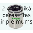 Virzulis, Bremžu suports BUDWEG CALIPER 234416