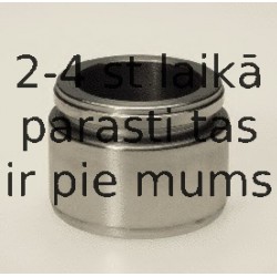 Поршень, корпус скобы тормоза BUDWEG CALIPER 234413