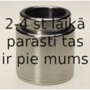 Поршень, корпус скобы тормоза BUDWEG CALIPER 234327