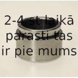 Поршень, корпус скобы тормоза BUDWEG CALIPER 234025