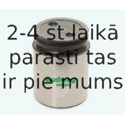 Поршень, корпус скобы тормоза BUDWEG CALIPER 233842