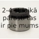 Поршень, корпус скобы тормоза BUDWEG CALIPER 233624