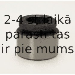 Поршень, корпус скобы тормоза BUDWEG CALIPER 233624