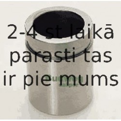 Virzulis, Bremžu suports BUDWEG CALIPER 233420