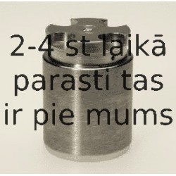Поршень, корпус скобы тормоза BUDWEG CALIPER 233411
