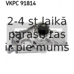 VKPC91814