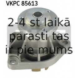VKPC85613