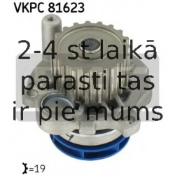 VKPC81623
