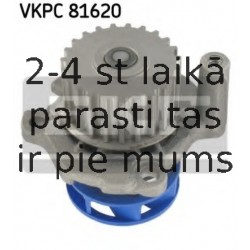 VKPC81620