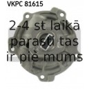 SKF VKPC-81615 (6), Ūdens suknis + комплект ручейковых ремней