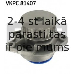 VKPC81407