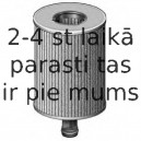 Eļļas filtrs FRAM CH9813ECO