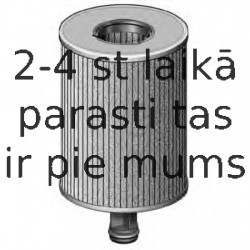 Eļļas filtrs FRAM CH9813ECO