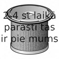 Degvielas filtrs FRAM C5783