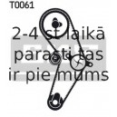 Zobsiksnas komplekts SKF VKMA 06000