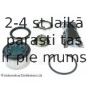 Комплект подшипника ступицы колеса BLUE PRINT ADT38225