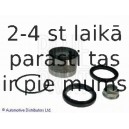 Комплект подшипника ступицы колеса BLUE PRINT ADS78308