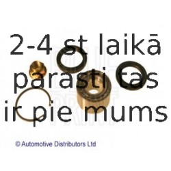 Комплект подшипника ступицы колеса BLUE PRINT ADS78209