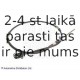 Trose, Stāvbremžu sistēma BLUE PRINT ADD64666