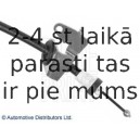 Trose, Stāvbremžu sistēma BLUE PRINT ADB114601