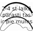 Bremžu loku komplekts FERODO FSB386