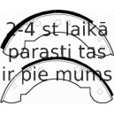 Bremžu loku komplekts FERODO FSB385