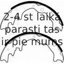 Комплект тормозных колодок FERODO FSB343