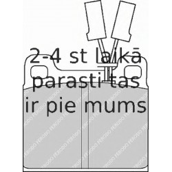 Bremžu uzliku kompl., Disku bremzes FERODO FDB348