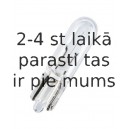 ORIGINAL 12V 1,2W 12V W2X4,6D UNV1 OS