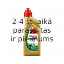 Castrol 2T POWER 1 RACING 1L