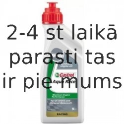 Castrol 2T AQUA RACE 1L