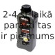 IGOL Race F.C 10W60 5L 