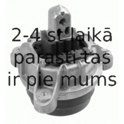 Piekare, Dzinējs LEMFÖRDER 36992 01