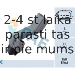 FAE 79174