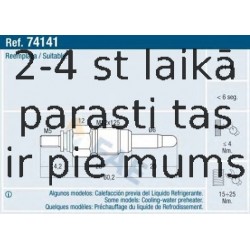 FAE 74141