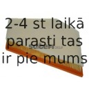 Воздушный фильтр FRAM CA11066