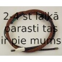 TRISCAN 8140 25180