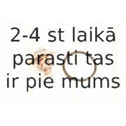 Термостат, охлаждающая жидкость TRISCAN 8620 3787