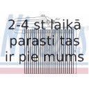 Iztvaikotājs, Gaisa kondicionēšanas sistēma NISSENS 92165