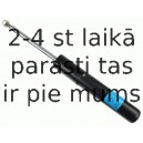 Amortizators SACHS 315 262