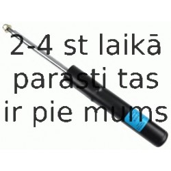 Amortizators SACHS 315 262