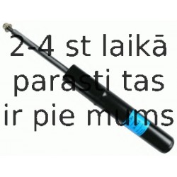 Amortizators SACHS 313 364