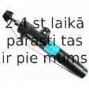 Amortizators SACHS 313 930