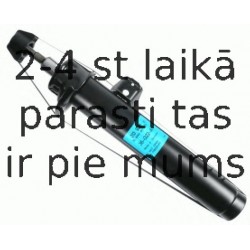 Amortizators SACHS 313 930