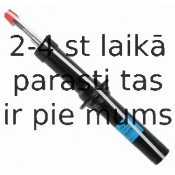 Amortizators SACHS 315 312