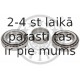 Riteņa rumbas gultņa komplekts OPTIMAL 302904