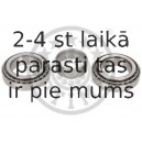 Riteņa rumbas gultņa komplekts OPTIMAL 302904