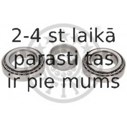 Riteņa rumbas gultņa komplekts OPTIMAL 302904