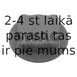 Vāciņš, Dzesēšanas šķidruma rezervuārs SWAG 55 91 4775