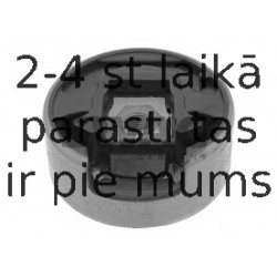 Piekare, Dzinējs SWAG 30 93 8402